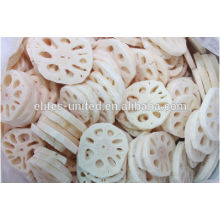 Chinese IQF frozen lotus root vegetable